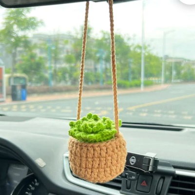 卡其色篮子+荧光绿 多肉